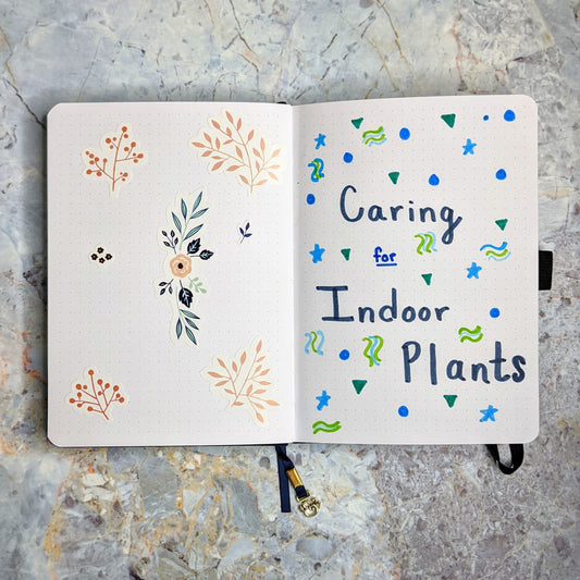 Best Bullet Journal Spreads for Caring for Indoor Plants