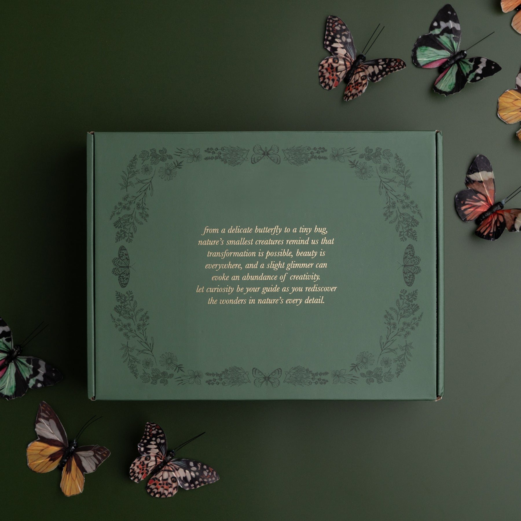 Nature's Curiosities Box - Archer and Olive