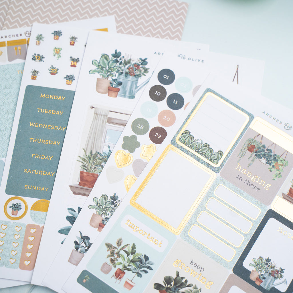 Plant Therapy Kit - Archer and Olive