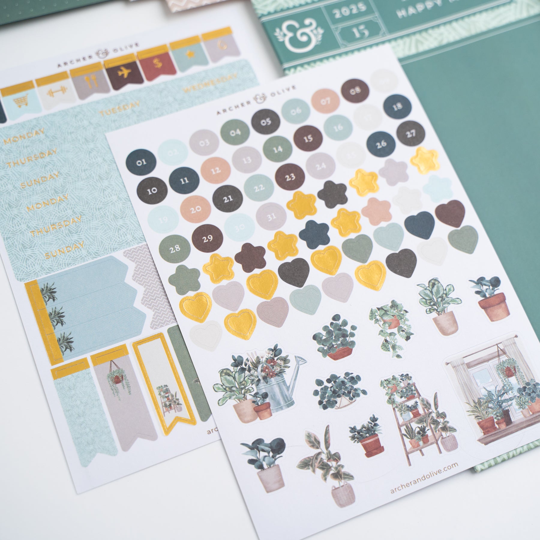 Plant Therapy Kit - Archer and Olive