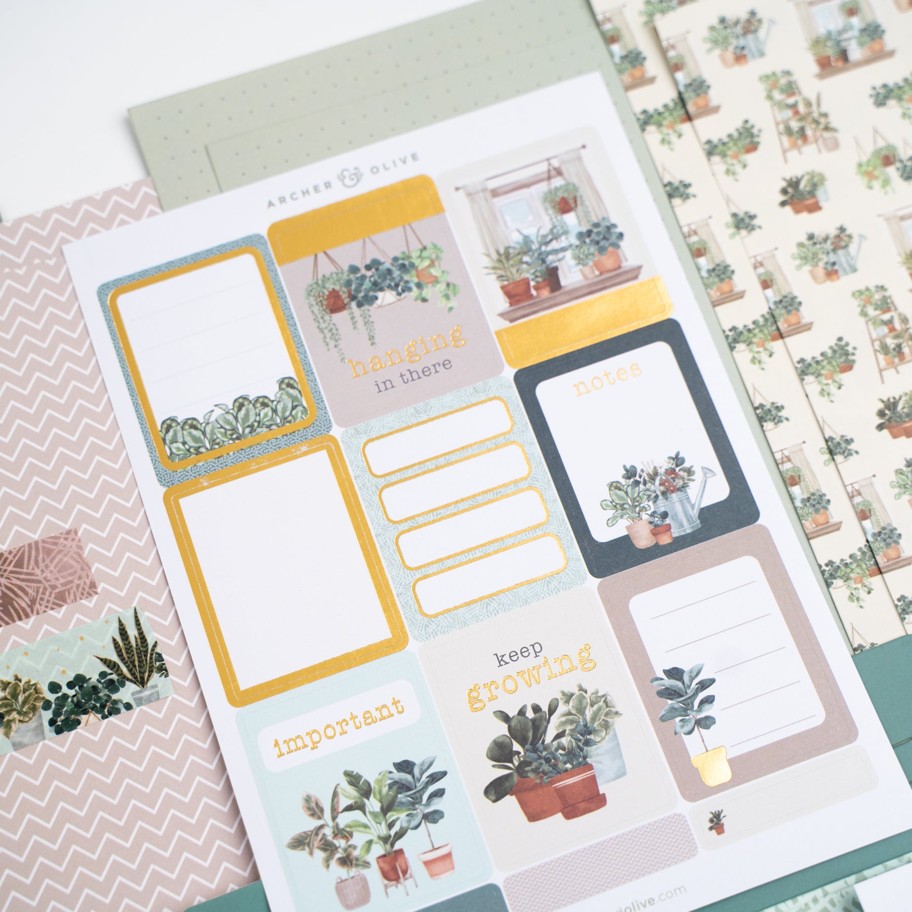 Plant Therapy Kit - Archer and Olive