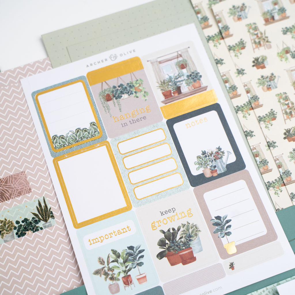 Plant Therapy Kit - Archer and Olive