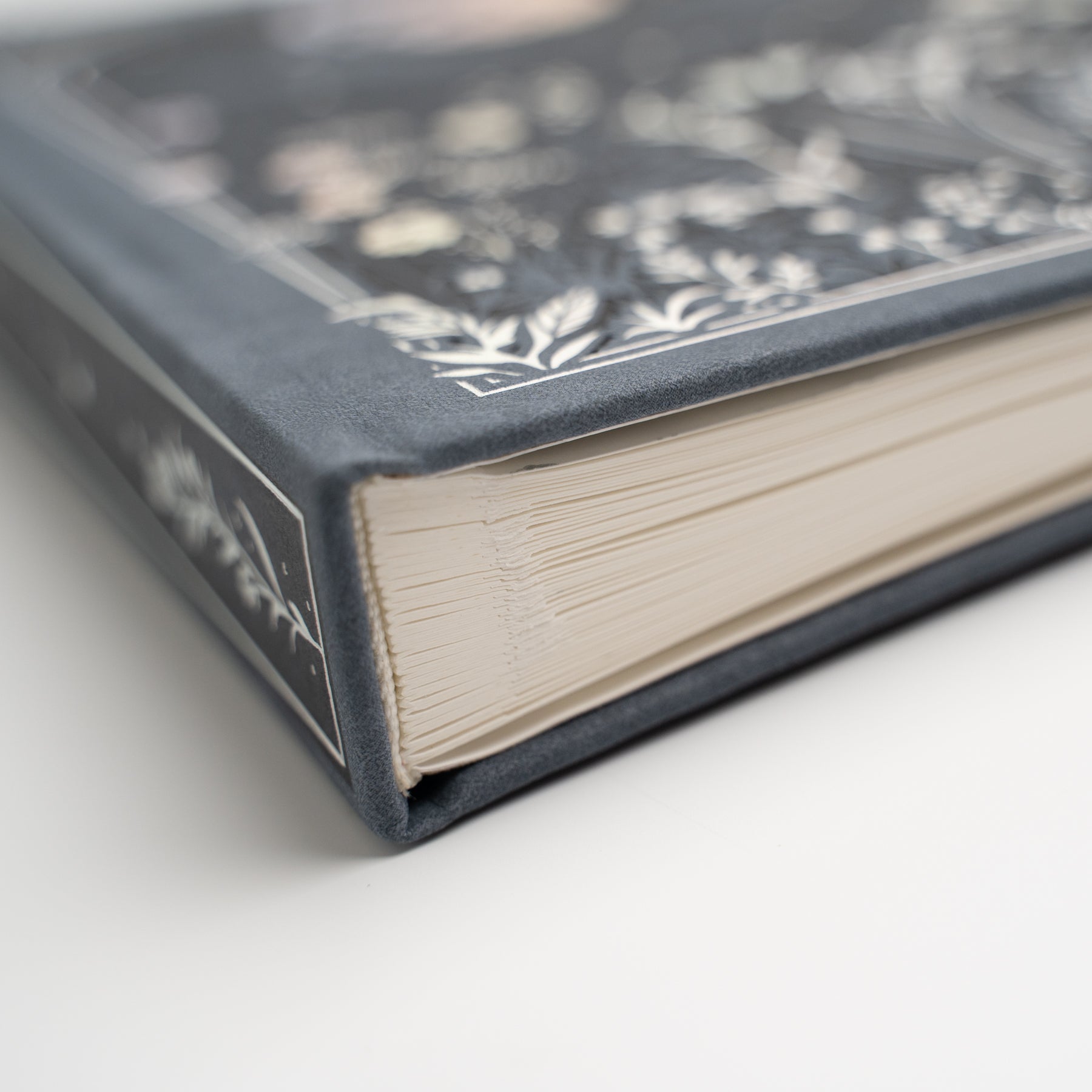 Moonlit Garden | Books