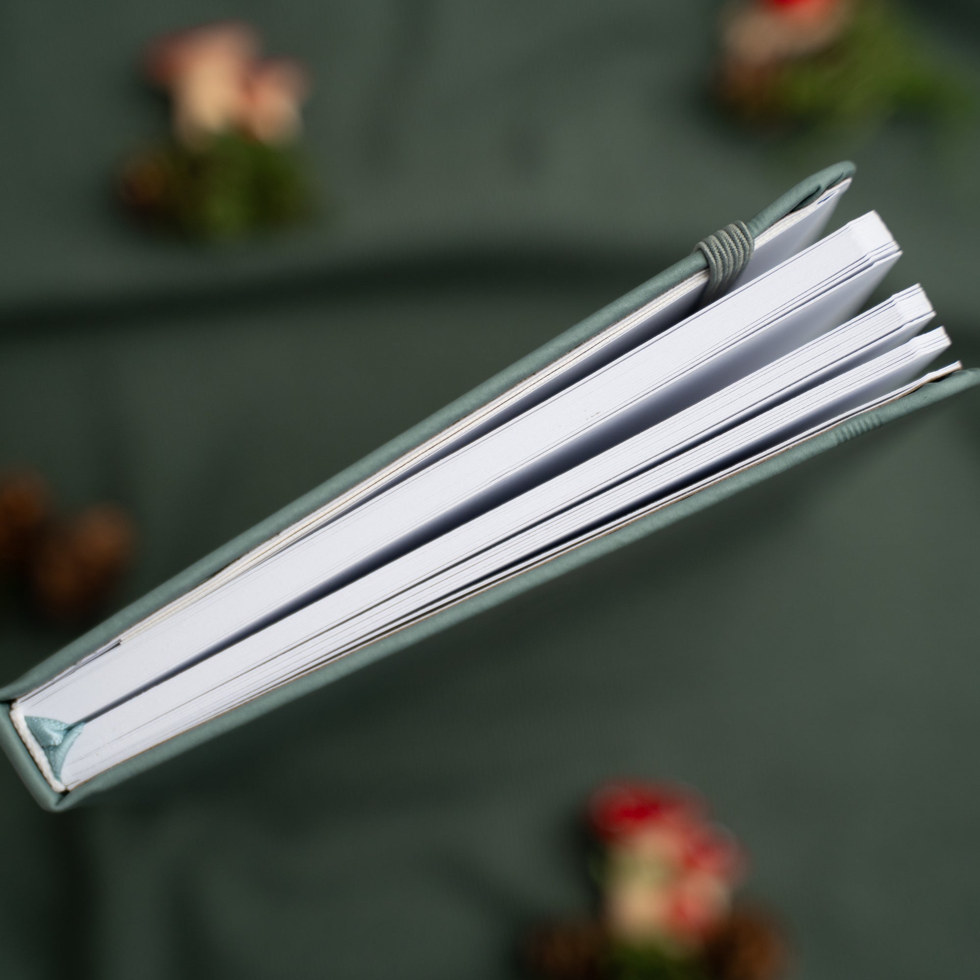 DOORBUSTER | Frog - Dot Grid Notebook - 128 pages - Archer and Olive