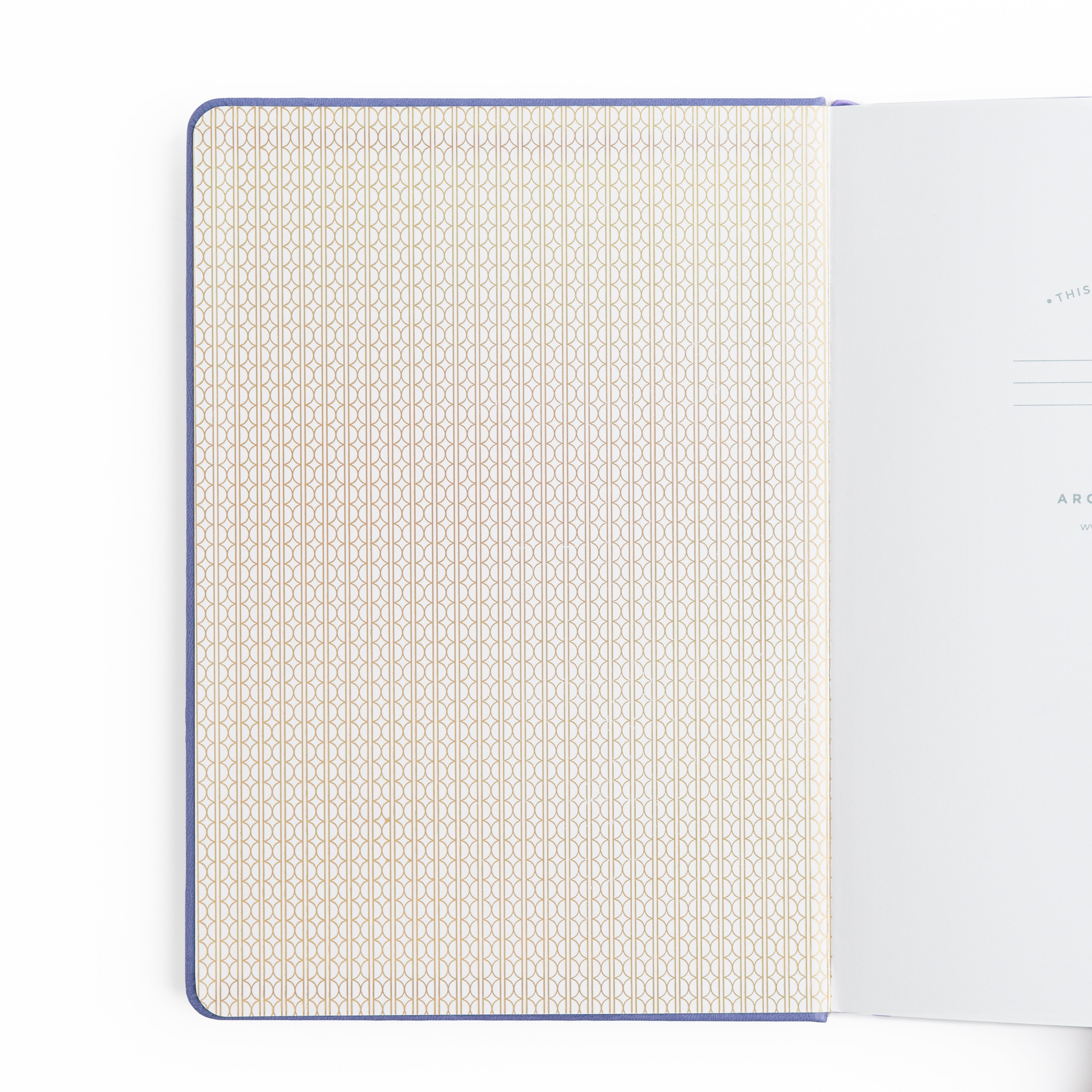 Dragon Spire Notebook - Archer and Olive