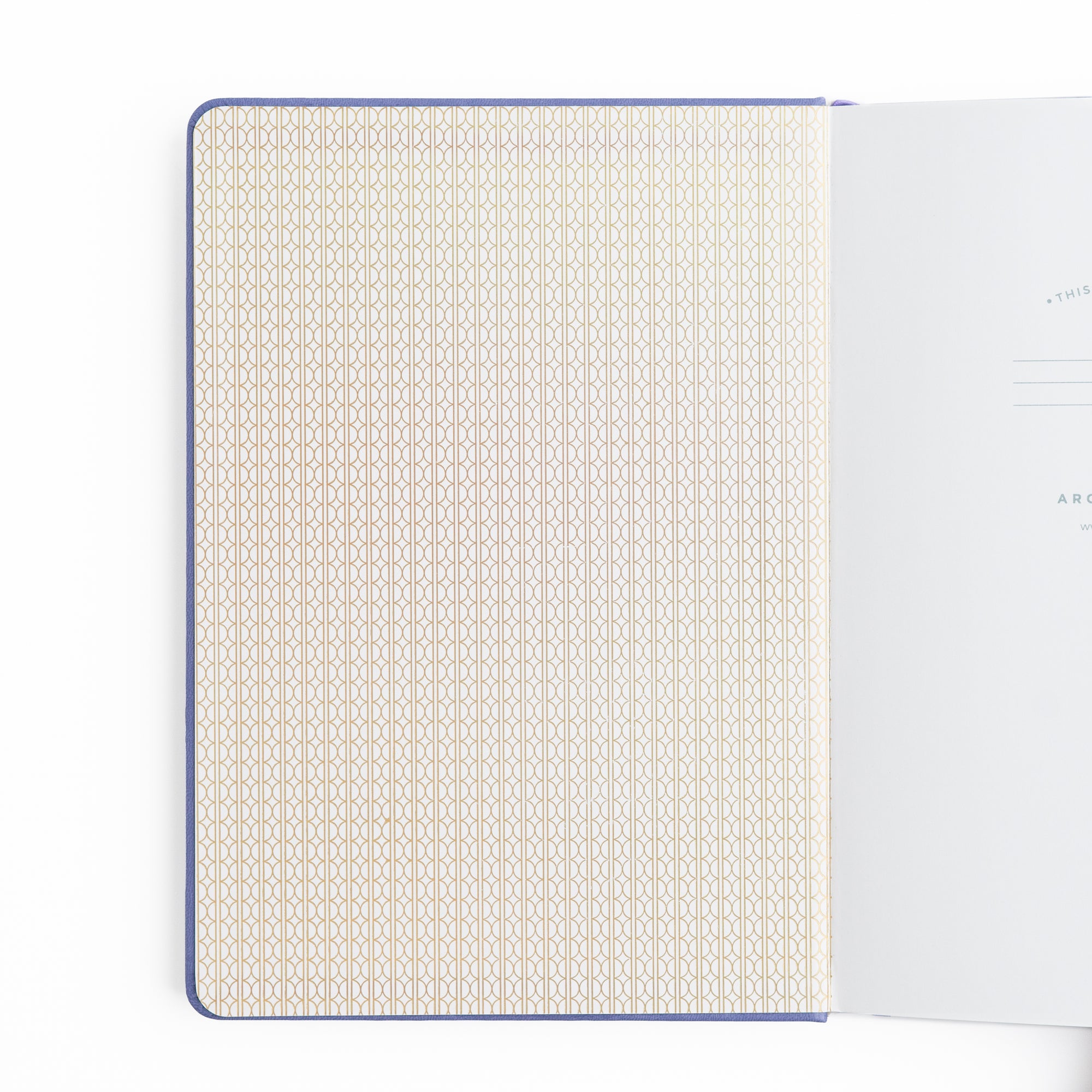 Dragon Spire Notebook - Archer and Olive