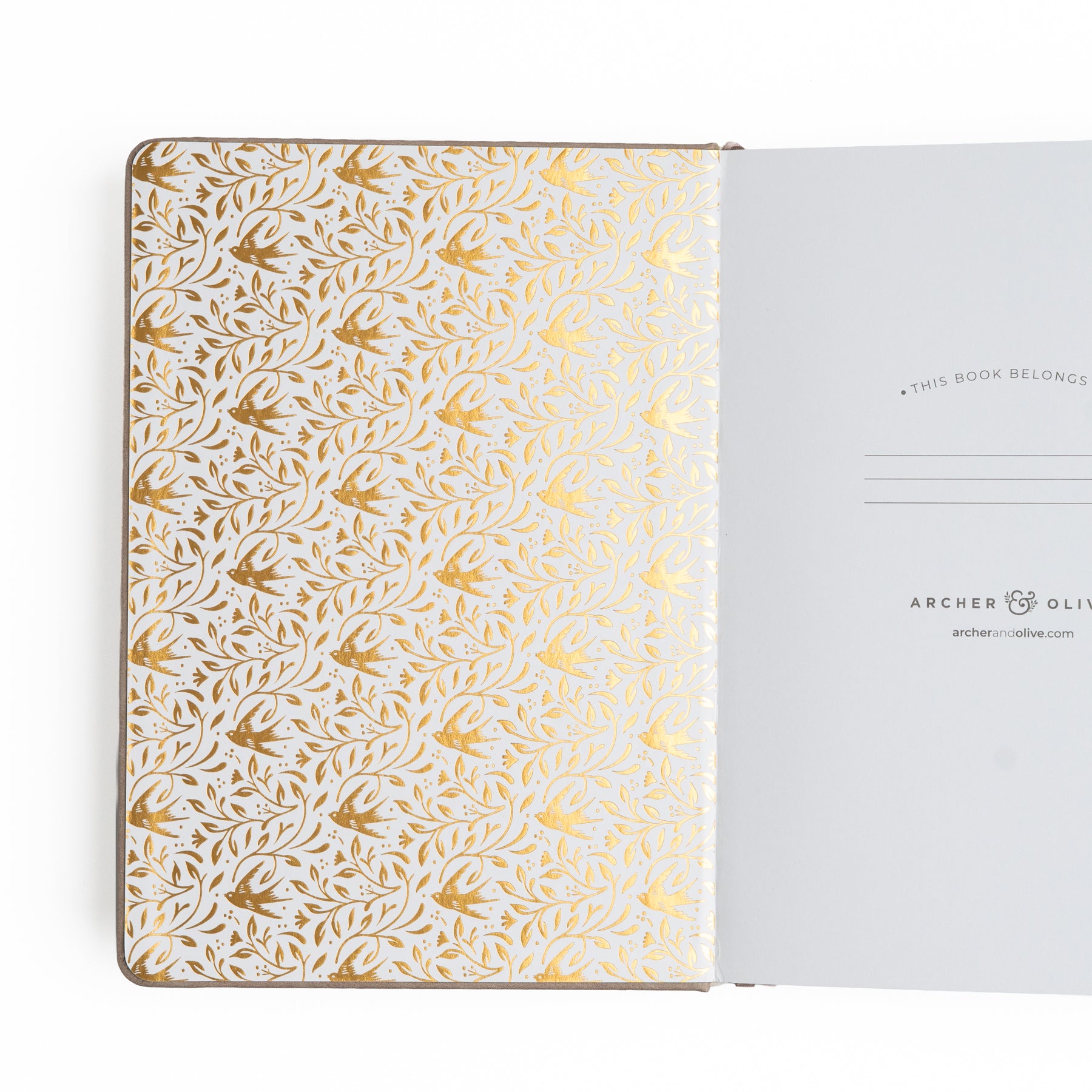 B5 Dot Grid Notebook: Songbird - Archer and Olive