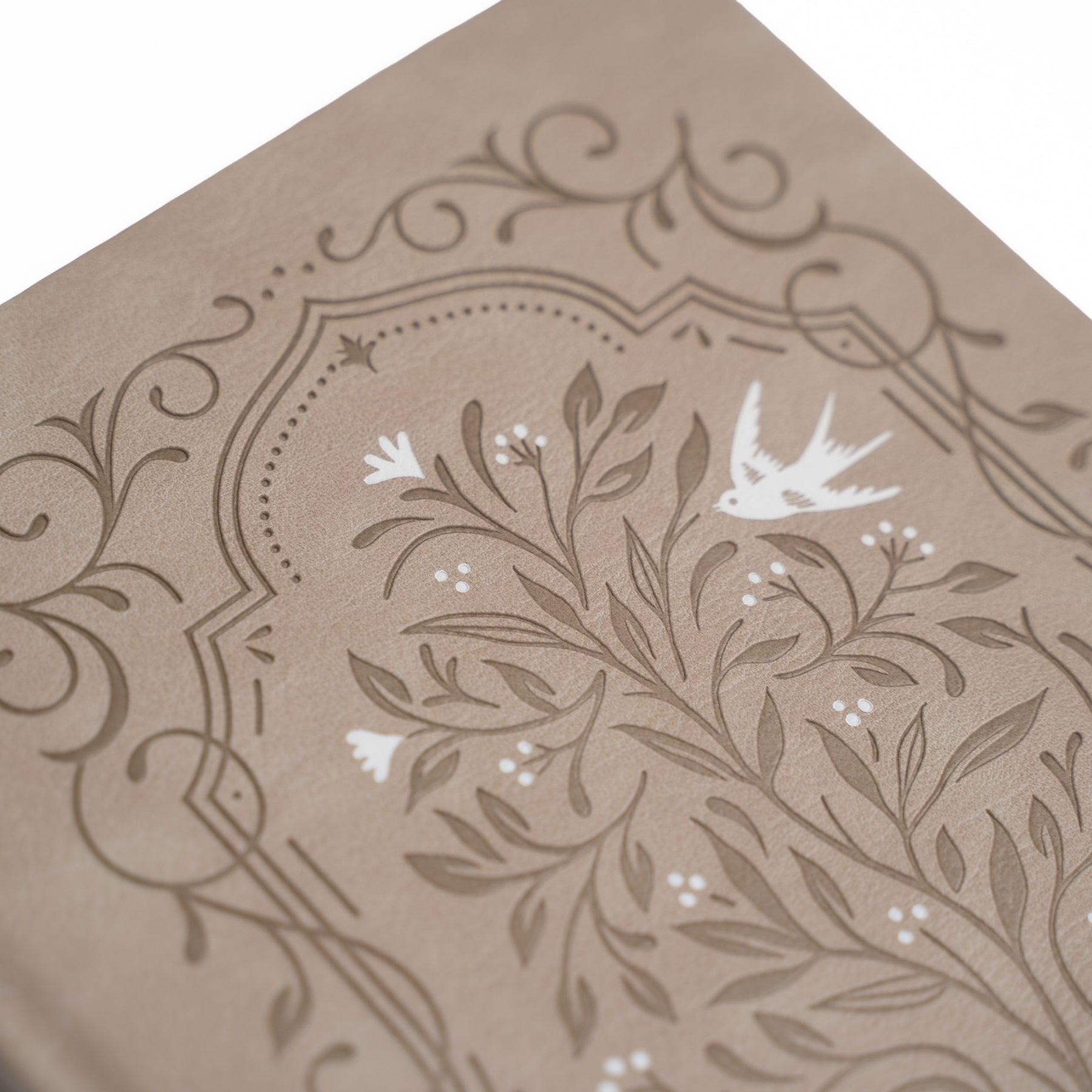 B5 Dot Grid Notebook: Songbird - Archer and Olive