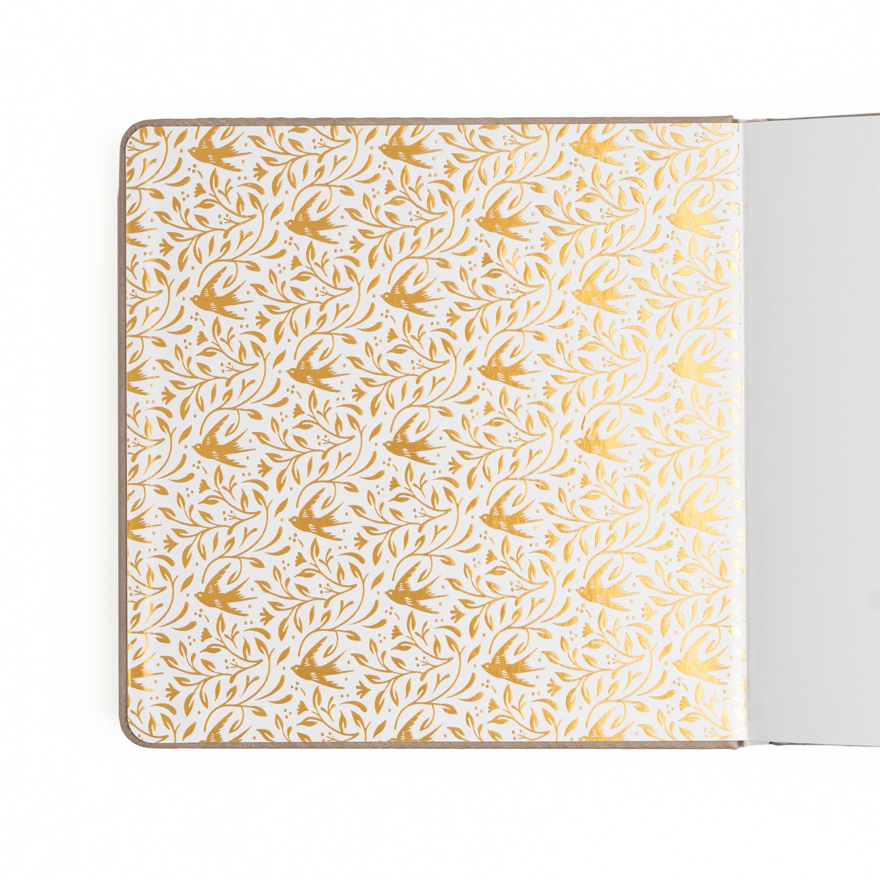 B6 Dot Grid Notebook: Songbird - Archer and Olive