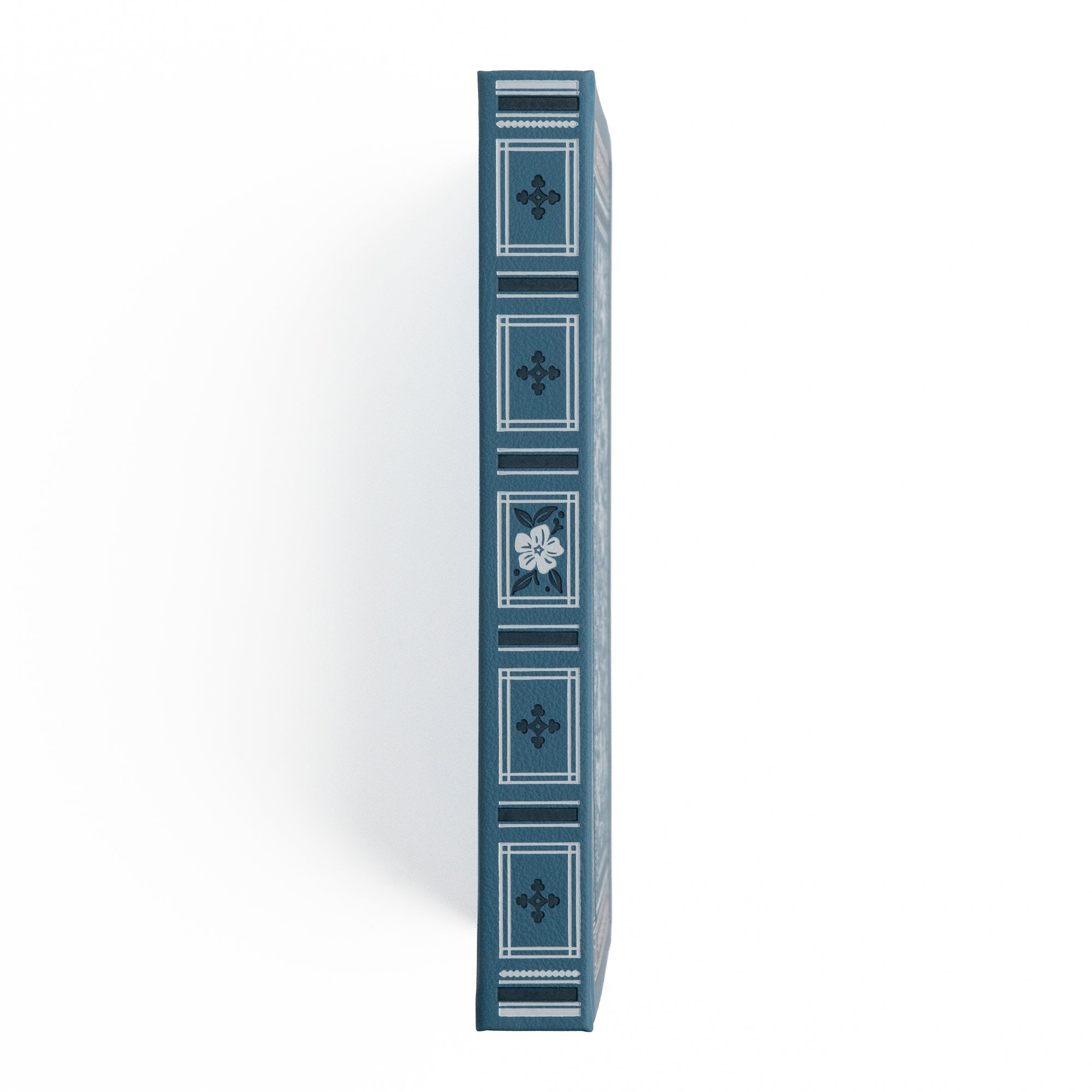 Wild Periwinkle | Books