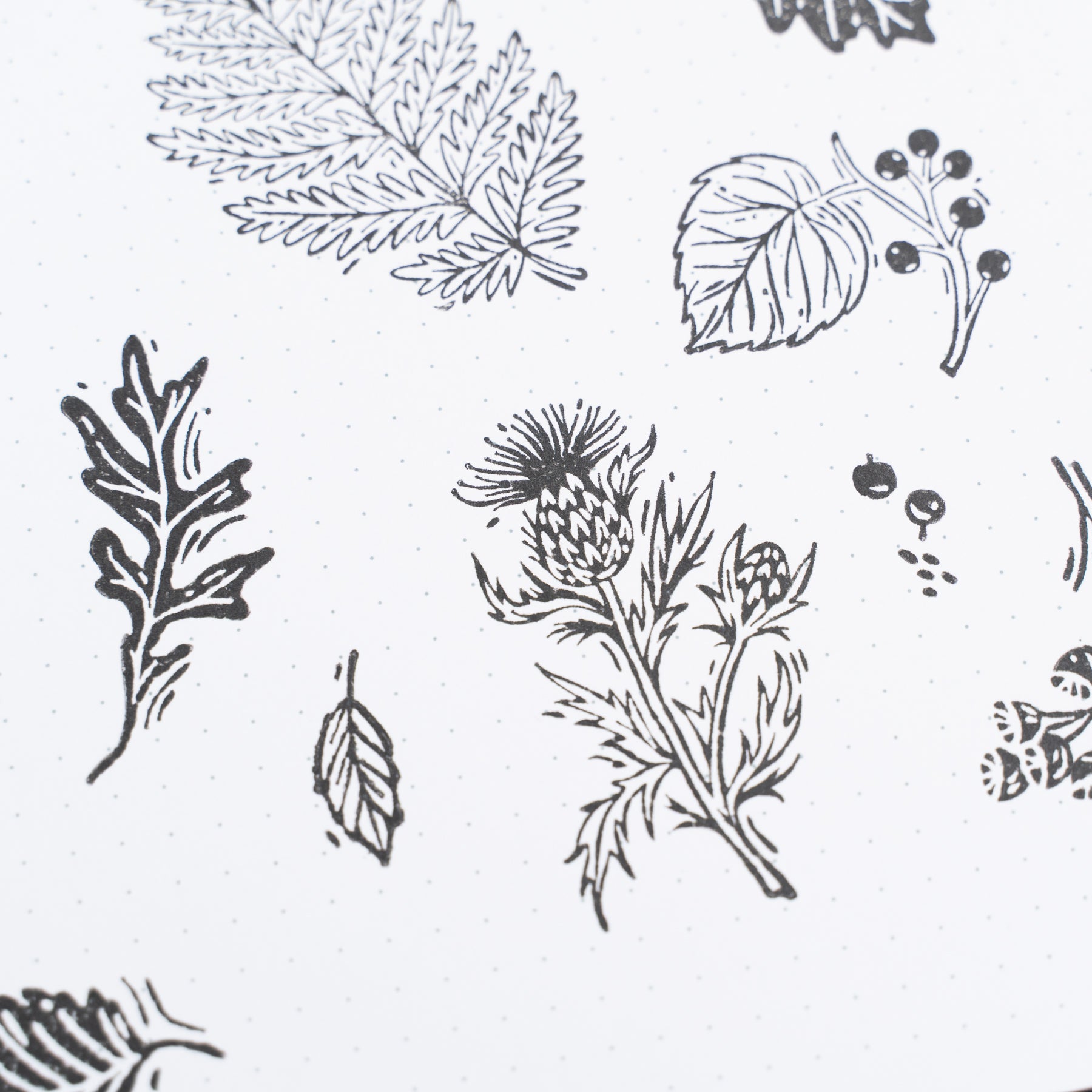Forest Foliage Acrylic Stamps - Archer and Olive