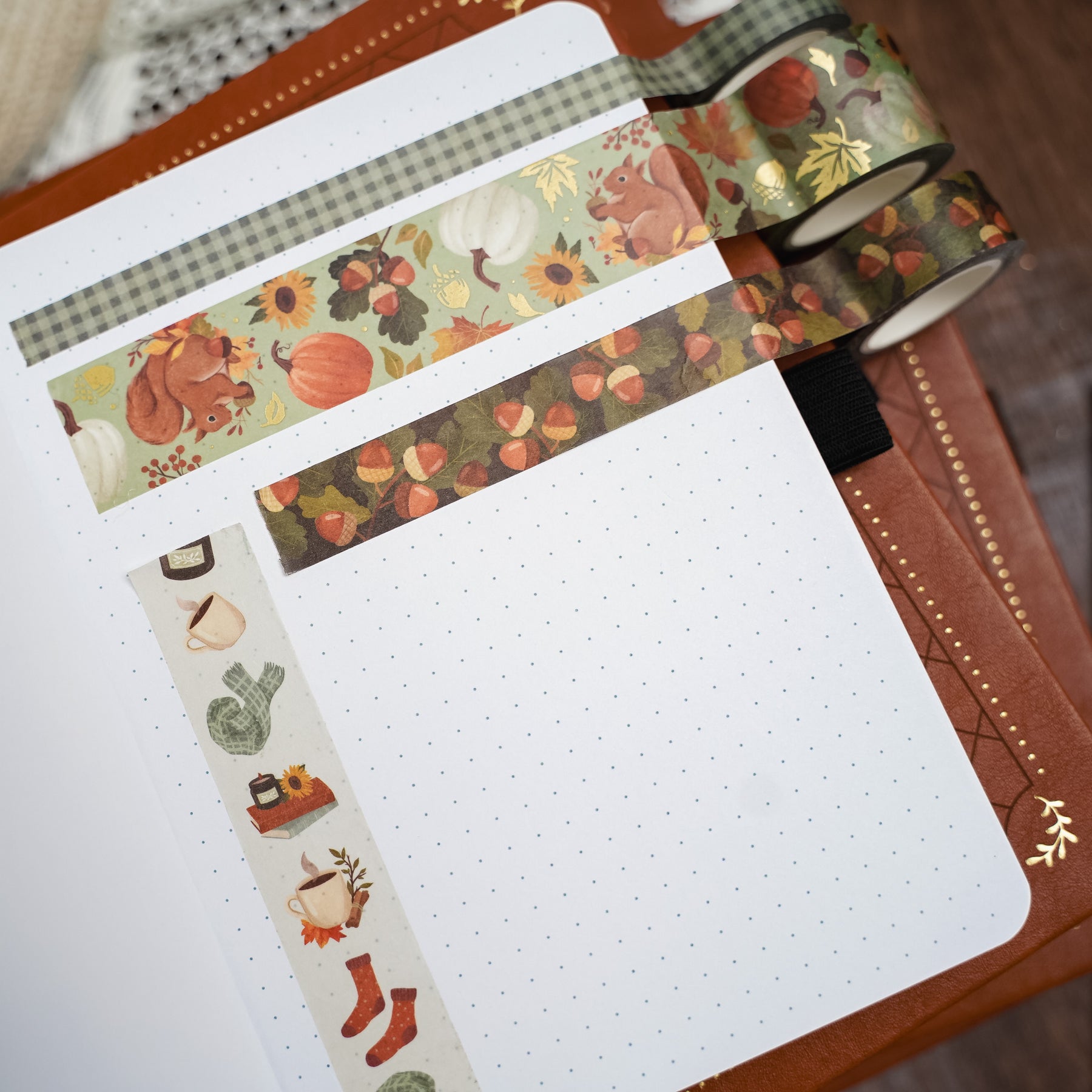 Acorns Washi Tape Set