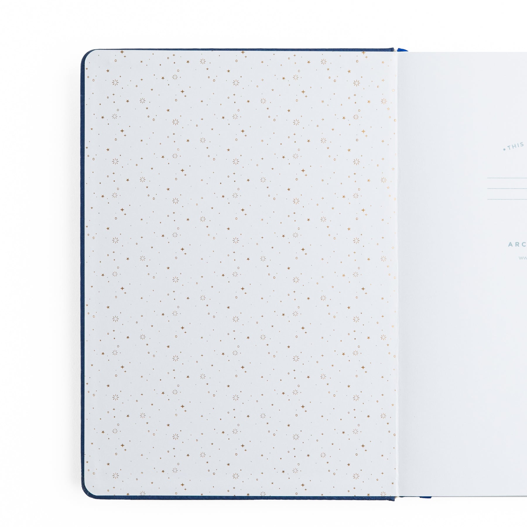 B6 Dot Grid Notebook: Firefly Night - Archer and Olive