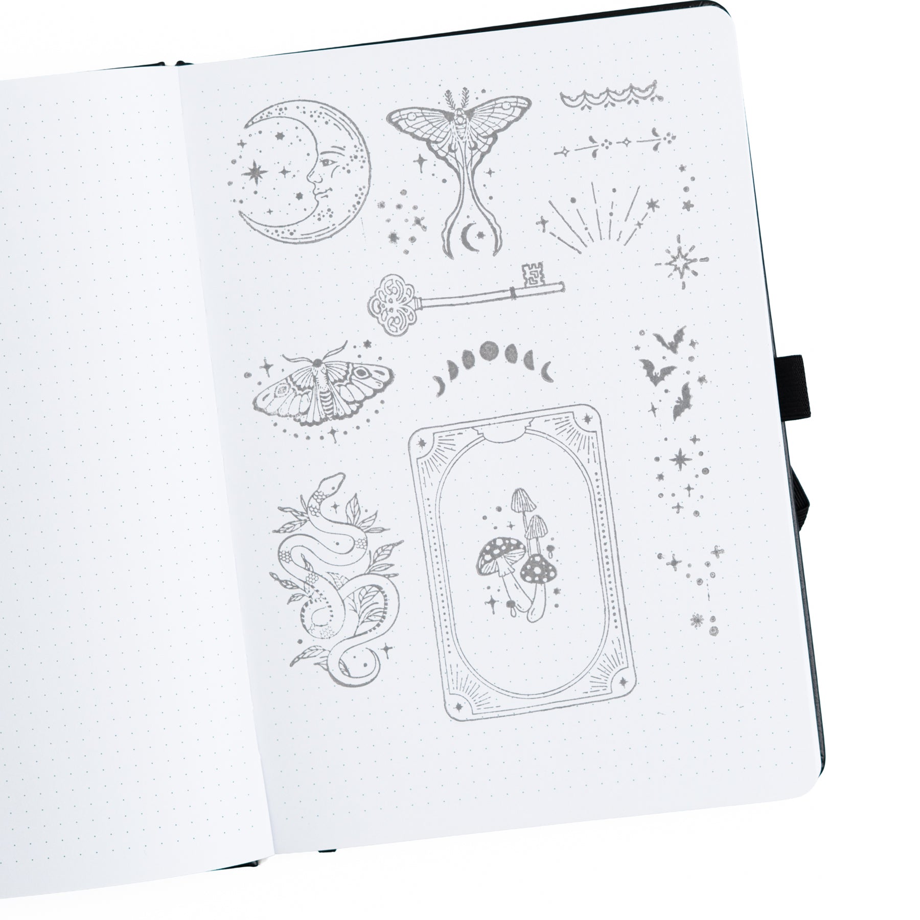 Moonshade Stamp Set - Archer and Olive