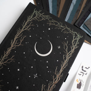 Haunted Hollow Box - Archer and Olive