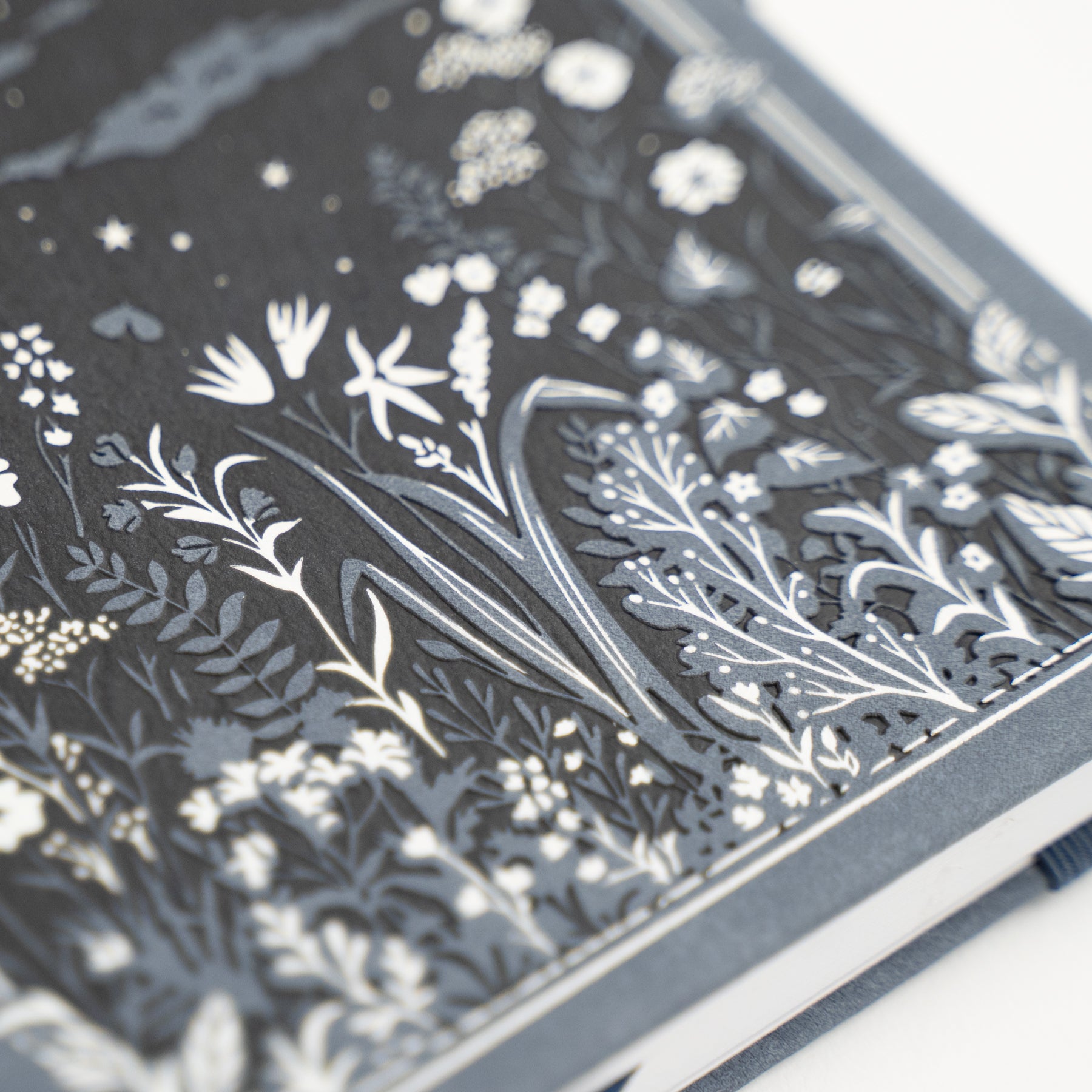 Moonlit Garden | Books