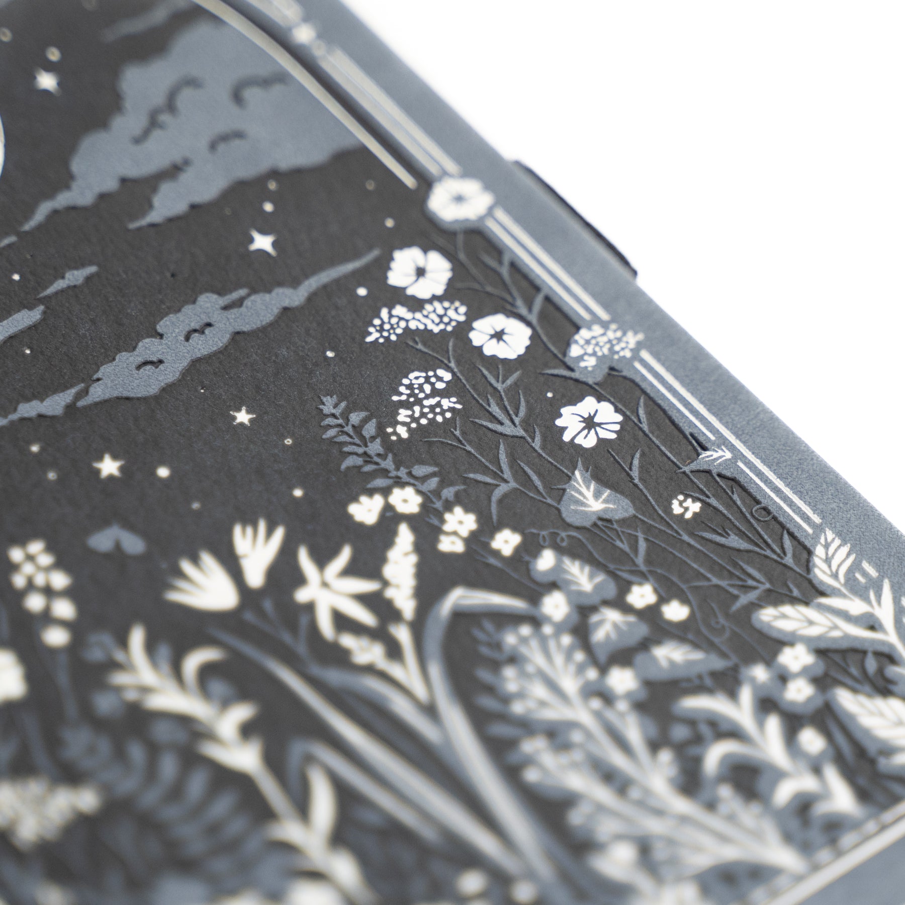 Moonlit Garden | Books