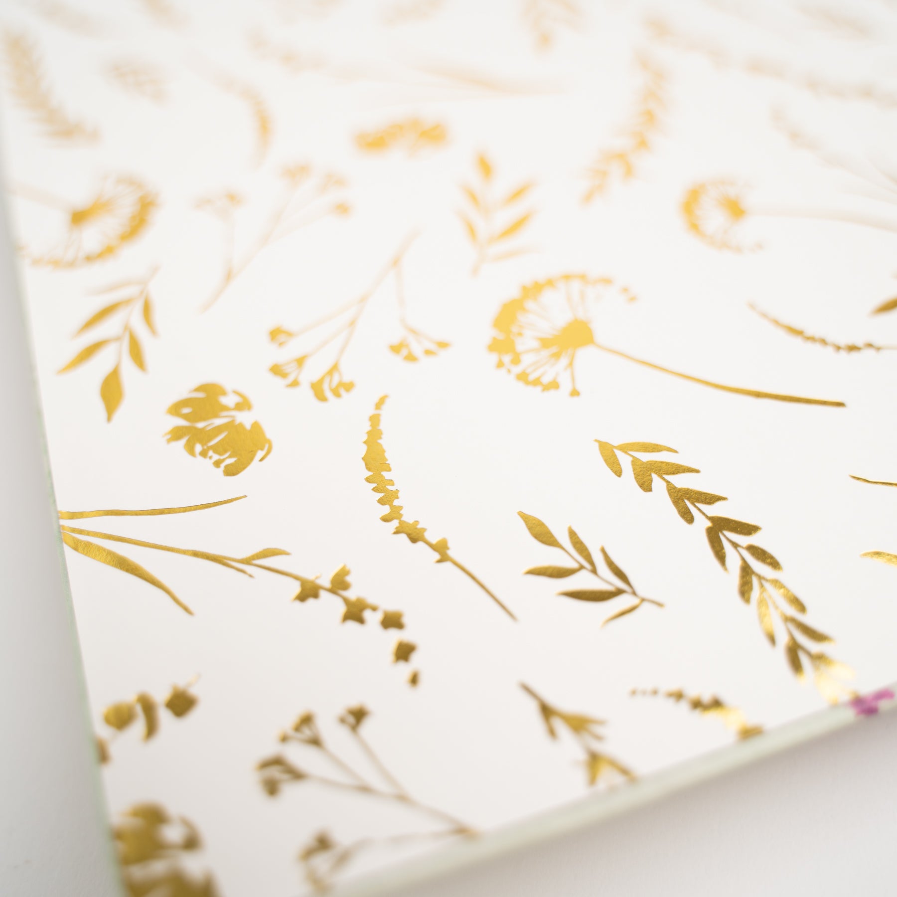 Flourish - A5 Dot Grid Notebook with Sarah Cray - Archer and Olive